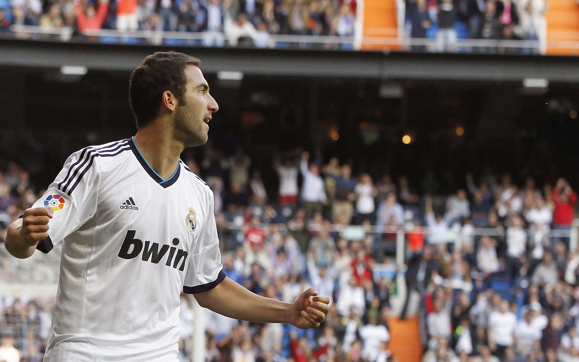 诺维奇主场击败富勒姆,豪取三分,诺维奇球迷